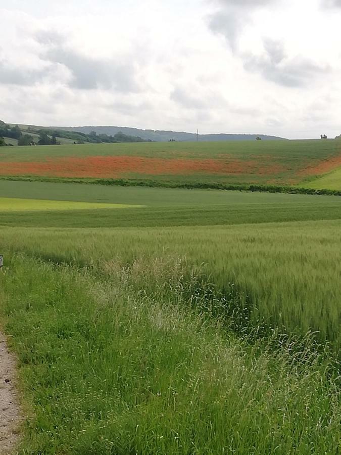 Zantnhof Leilighet Rohrabrunn Eksteriør bilde